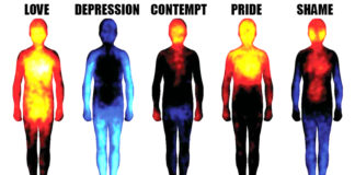 Ways to Read Other People’s Emotions