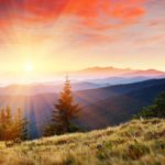 You will make a better world