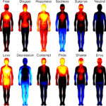 Emotional Vocabulary: Learn The Real Meaning Behind These 7 Emotions That Your Soul Tries to Communicate With You!