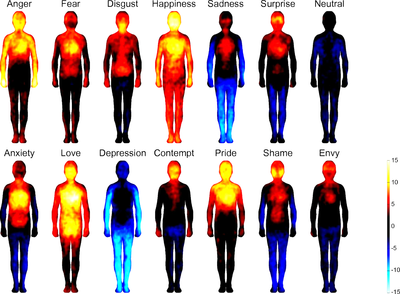 Vocabulário Emocional O real significado por trás dessas 7 emoções