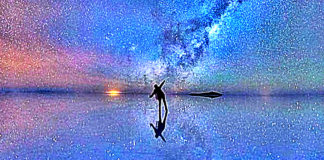 Find Out Your Purpose Questions