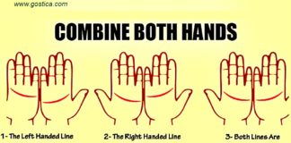 Palmistry: If These 2 Lines On Your Palm Match Up, It Means Something Incredible! 2 Lines On Your Palm Match Up