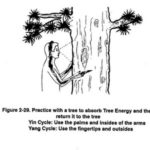 Tree Healing 3