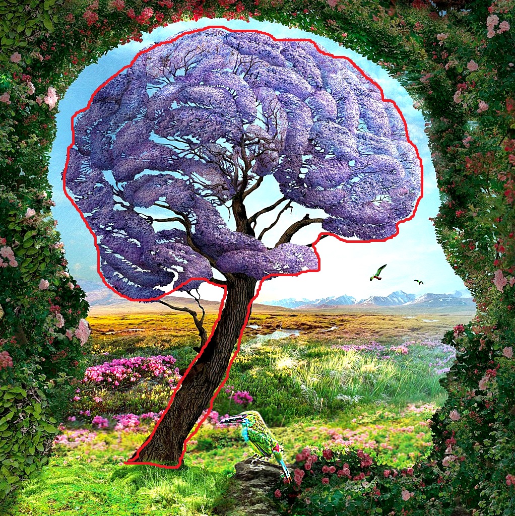 The First Detail That You See On This Image Reveals Unconscious Secrets of Your Personality - Brain and Tree