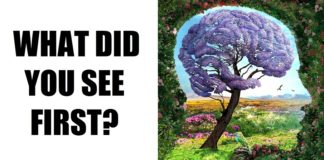 The First Detail That You See Reveals Secrets of Your Personality