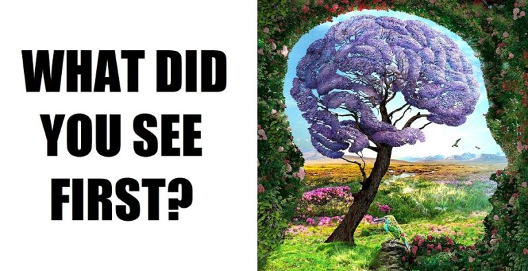 The First Detail That You See Reveals Secrets of Your Personality