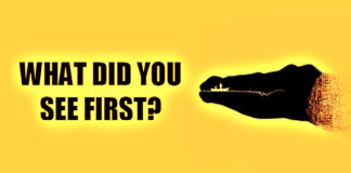 Image Test Life and Personality