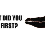 Fascinating Image Test The First Thing You See In This Image Reveals a Lot About Your Life and Personality!