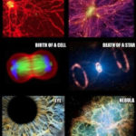 Proof That Your Body is A Universe!