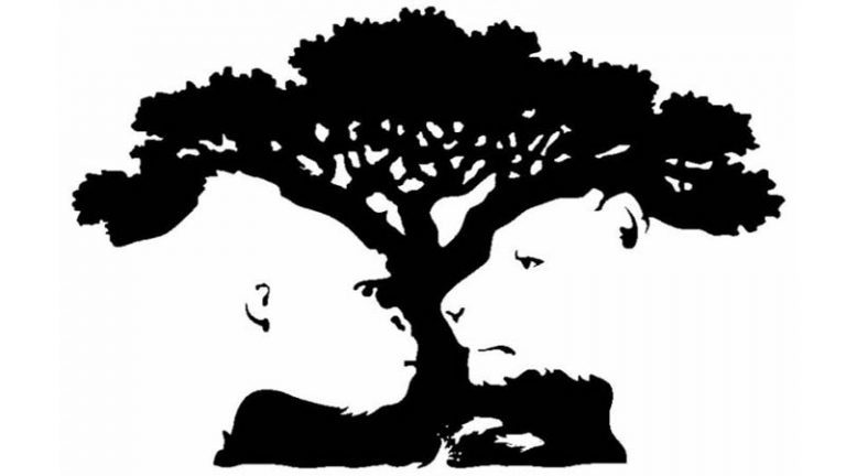 First Image You See Determines Flaws Personality