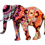 What Elephant You are Most Drawn To 1