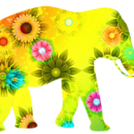 What Elephant You are Most Drawn To 2