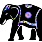 What Elephant You are Most Drawn To 3