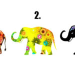 What Elephant You are Most Drawn To It Reveals The Soul Contract You Are Currently Working On!