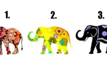 find-out-what-kind-of-soul-contract