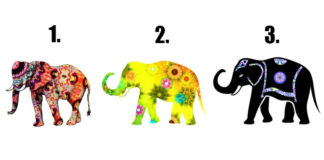 What Elephant You are Most Drawn To? It Reveals The Soul Contract You Are Currently Working On! find-out-what-kind-of-soul-contract