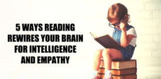 Reading Rewires Your Brain For Intelligence And Empathy Research