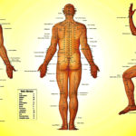 Scientific Research Finally Proved That Meridians Exist