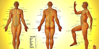 Scientific Research Finally Proved That Meridians Exist Scientific Research Proved Meridians Exist