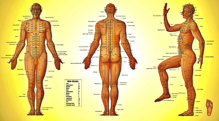 Scientific Research Proved Meridians Exist