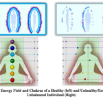 The relation of meridians and health