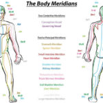 What are Meridians?