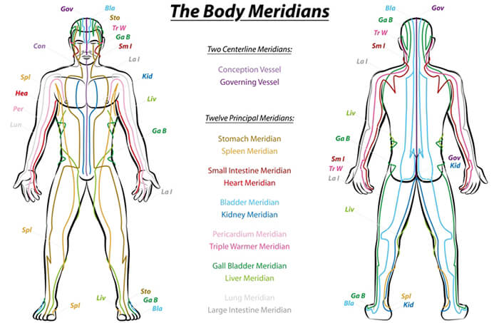 What are Meridians?