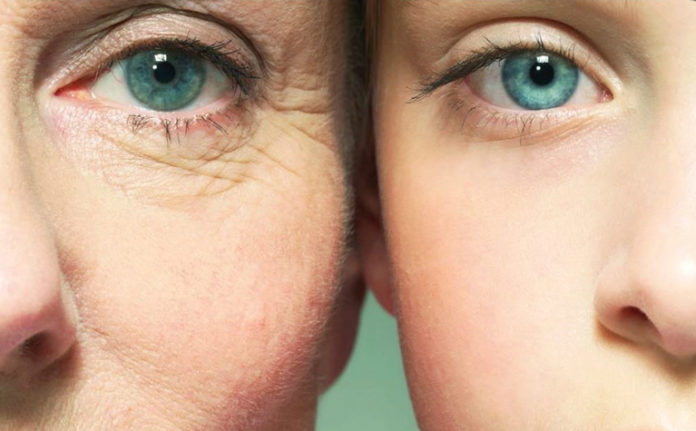 3 Ways You Can Slow Down Aging Scientists