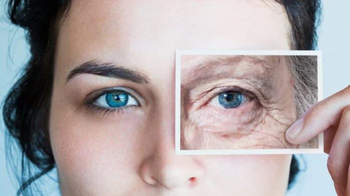 Research Sitting For Longer Hours Makes You Age Faster