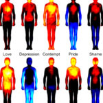 Emotional Vocabulary: Learn The Real Meaning Behind The 7 Most Common Emotions That Your Soul Tries to Communicate With You!