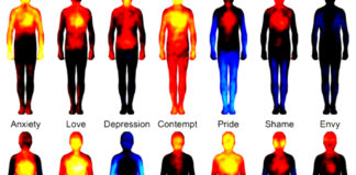 Emotional Vocabulary: Learn The Real Meaning Behind The 7 Most Common Emotions That Your Soul Tries to Communicate With You! Emotional Vocabulary The Real Meaning Behind The 7 Most Common Emotions