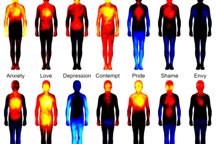 Emotional Vocabulary The Real Meaning Behind The 7 Most Common Emotions