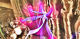 spiritually-gifted-people-affected-by-7-things