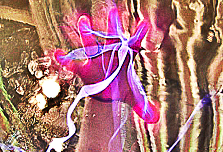 spiritually-gifted-people-affected-by-7-things