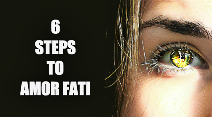 formula-in-achieving-amor-fati