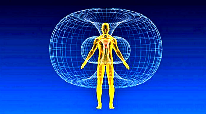 6 Ways How To Tap Into Your Heart's Intelligence And Wisdom how-to-tap-into-your-hearts-wisdom