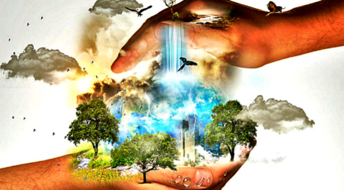 How To Use The Elemental Energies To Recharge Your Batteries use-the-elemental-energies-to-recharge-your-batteries