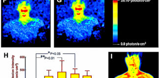 body-emits-light-science