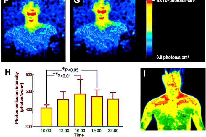 Your Body Emits Light 1000 Times Less Intense Than The Eye Can See According To Science body-emits-light-science