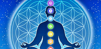 archetype-reveals-the-chakra-you-need-to-balance