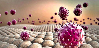 things-that-protect-you-from-autoimmune-diseases