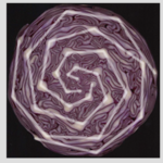 Fruits And Veggies The Golden Ratio And Fibonacci Sequence