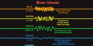 the-5-basic-brainwave-states-shapes-your-reality
