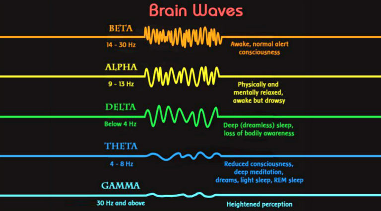 the-5-basic-brainwave-states-shapes-your-reality