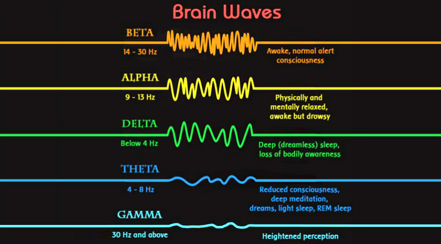 the-5-basic-brainwave-states-shapes-your-reality