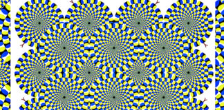 optical-illusions-show-how-easy-it-is-to-fool-your-mind