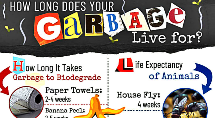 how-long-your-garbage-lives-compared-to-animals