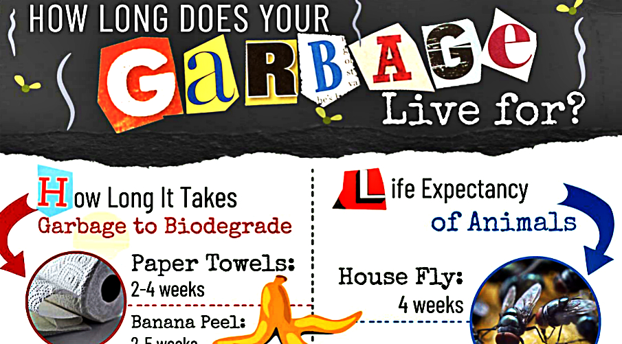 Insightful Infographic Shows How Long Your Garbage Lives Compared To