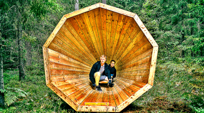 students-installed-megaphones-in-forest-to-magnify-sound-of-nature