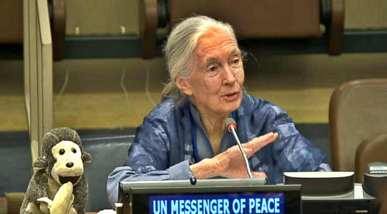 un-messenger-of-peace-how-we-can-make-the-world-a-better-place